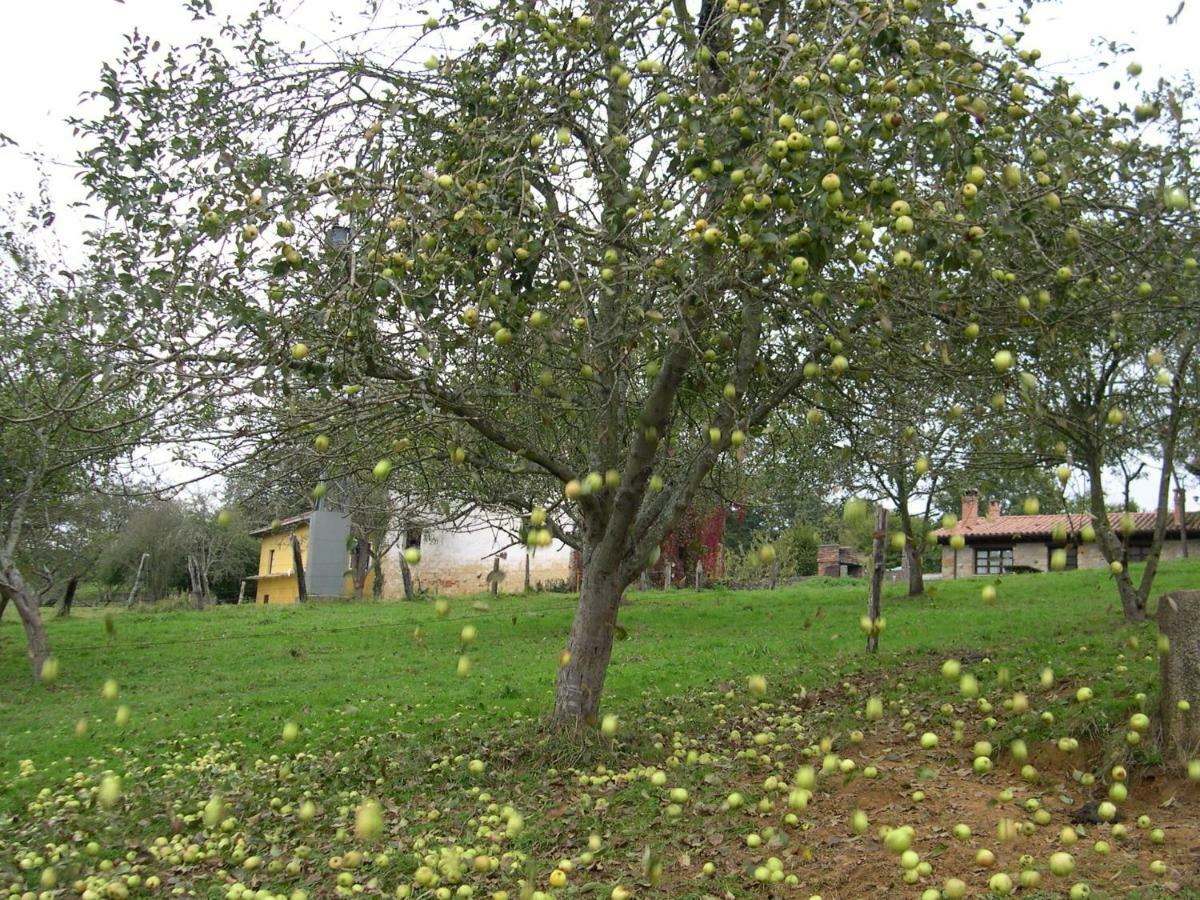Turismo Rural El Sidron Affittacamere Piloña Esterno foto
